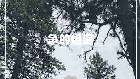 爭的組詞