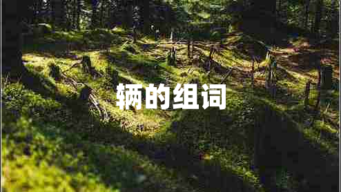 輛的組詞