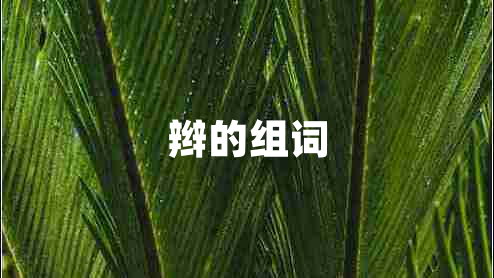 辮的組詞