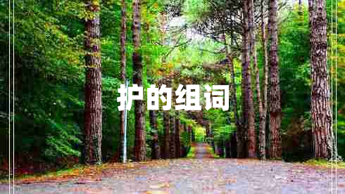 護的組詞