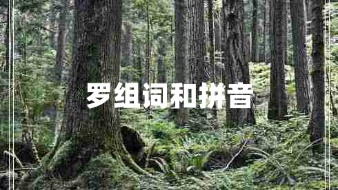 羅組詞和拼音