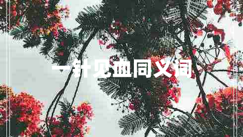 一針見(jiàn)血同義詞