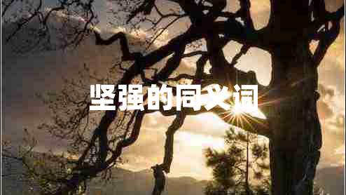 堅強的同義詞
