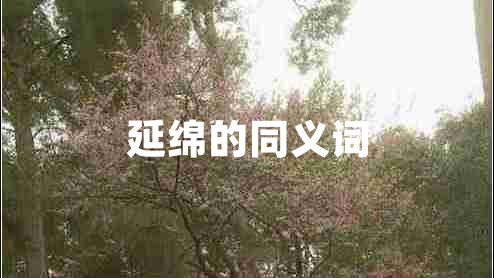 延綿的同義詞