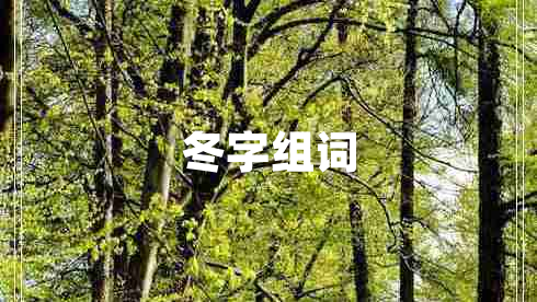 冬字組詞