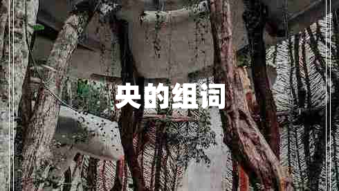 央的組詞
