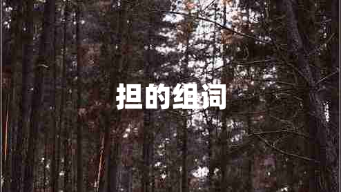 擔的組詞