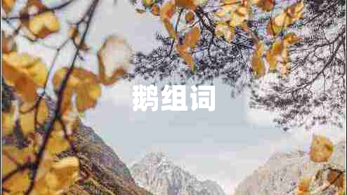 鵝組詞