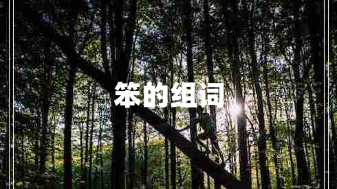 笨的組詞