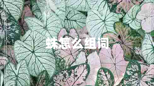 蛛怎么組詞