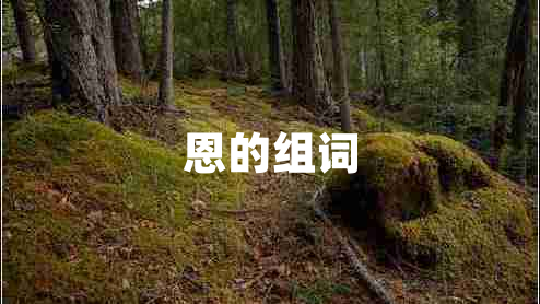 恩的組詞