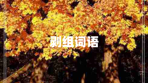 剝組詞語(yǔ)