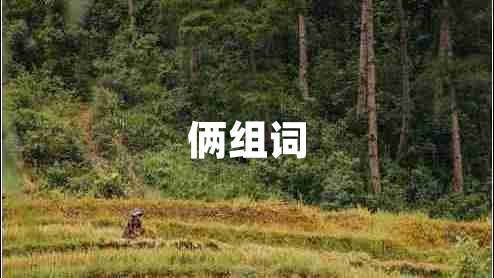 倆組詞