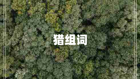 獵組詞