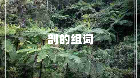 剖的組詞