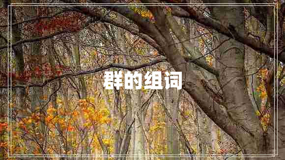 群的組詞