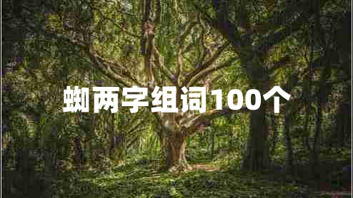 蜘兩字組詞100個(gè)