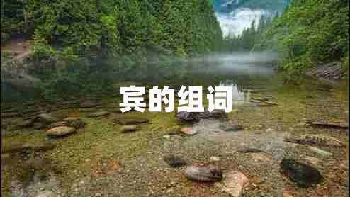 賓的組詞