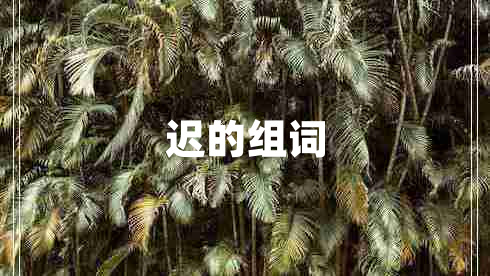 遲的組詞