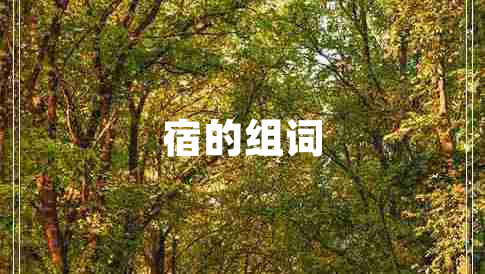 宿的組詞