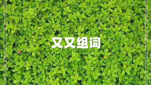又又組詞