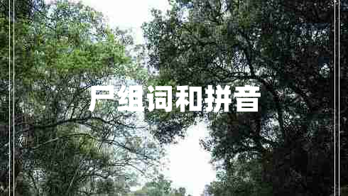 尸組詞和拼音