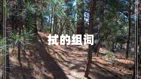 拭的組詞