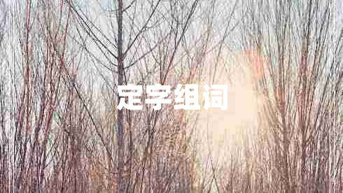 定字組詞