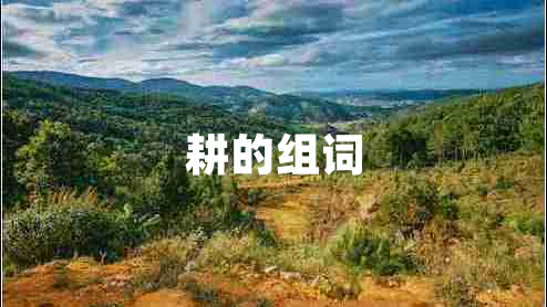耕的組詞