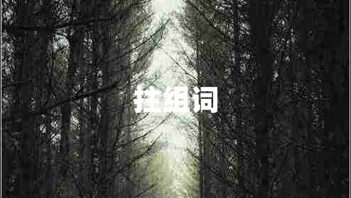 拄組詞