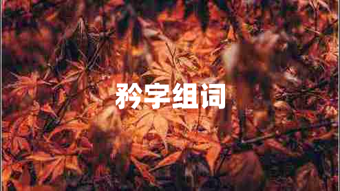 矜字組詞