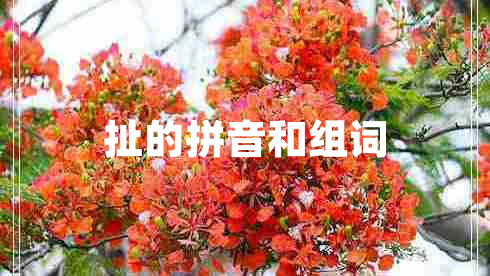 扯的拼音和組詞