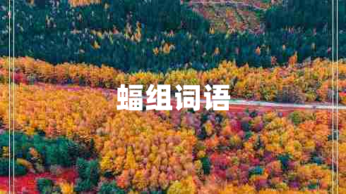蝠組詞語(yǔ)