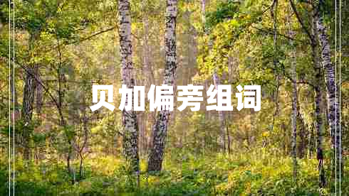 貝加偏旁組詞