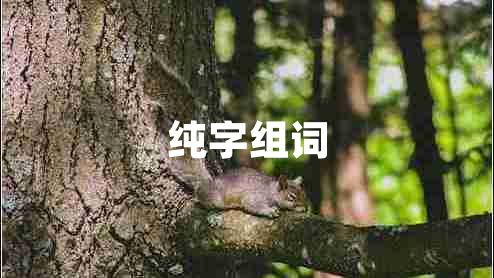 純字組詞