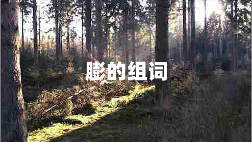 膨的組詞