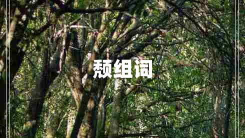 頹組詞