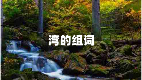 灣的組詞