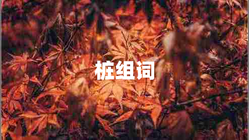 樁組詞