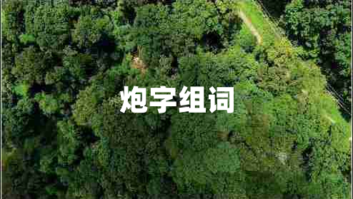 炮字組詞