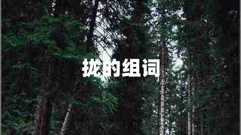 攏的組詞