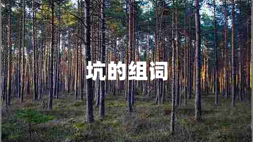 坑的組詞