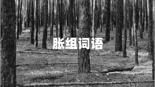 脹組詞語(yǔ)