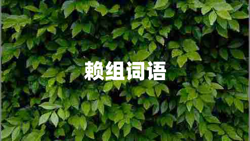 賴(lài)組詞語(yǔ)