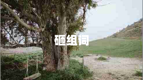 砸組詞