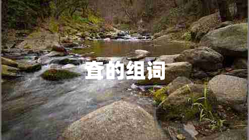 耷的組詞