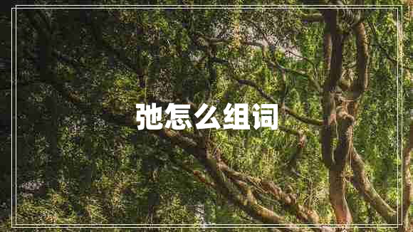 弛怎么組詞