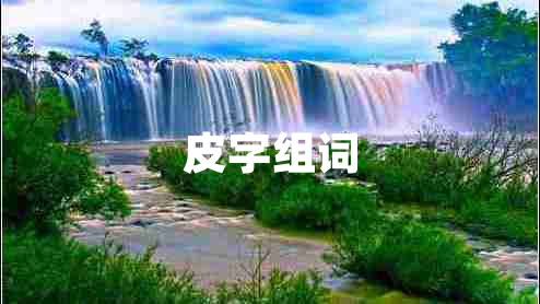 皮字組詞