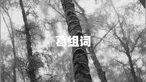葛組詞
