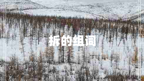 拆的組詞